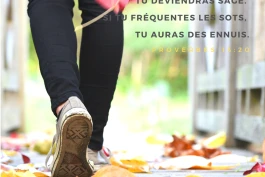 Votre Nourriture Quotidienne