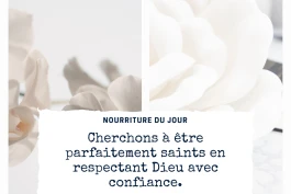 Votre Nourriture Quotidienne